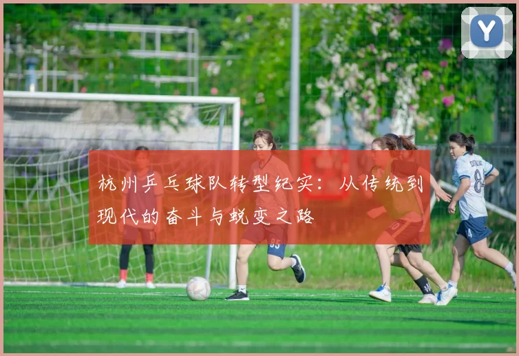 杭州乒乓球队转型纪实：从传统到现代的奋斗与蜕变之路