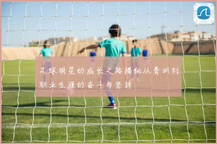 足球明星的成长之路揭秘从青训到职业生涯的奋斗与坚持