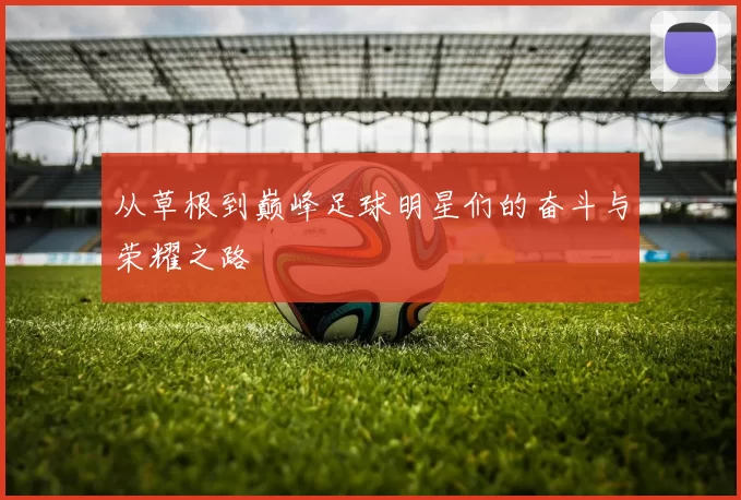 从草根到巅峰足球明星们的奋斗与荣耀之路