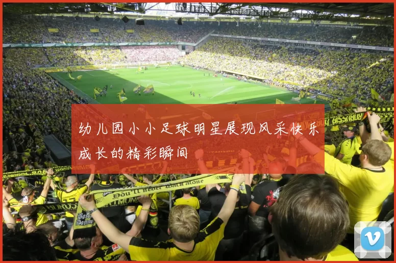幼儿园小小足球明星展现风采快乐成长的精彩瞬间