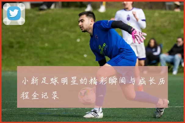 小新足球明星的精彩瞬间与成长历程全记录